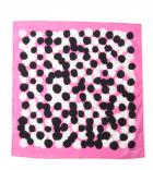 ＫＡＮＴＡ　ＳＣＡＲＦ　ＫＩＤＳ