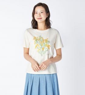 【Lサイズ】４０／２天竺カットソー